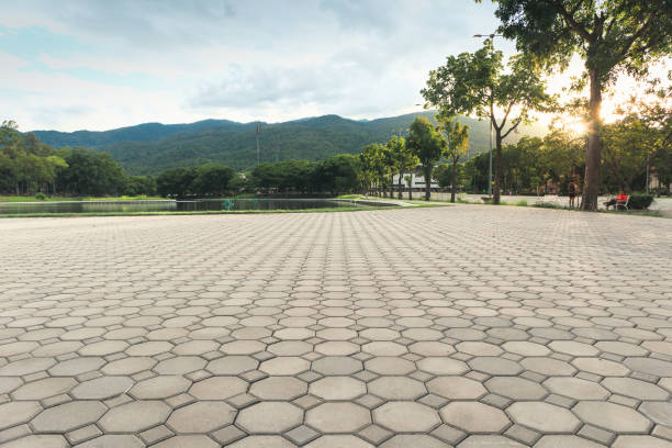 Best Custom Driveway Pavers  in Millbourne, PA